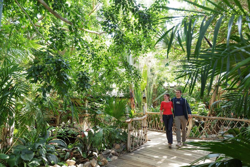 Center Parcs Erperheide Hotel Peer Exterior photo